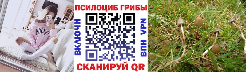Купить где  Сольцы  Галлюциногенные грибы мухоморы 