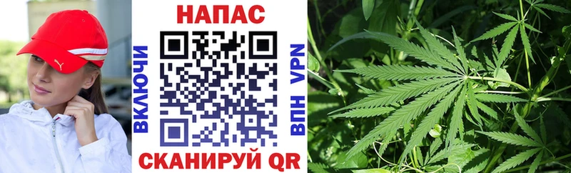 МАРИХУАНА OG Kush  Купить закладки  Сольцы 
